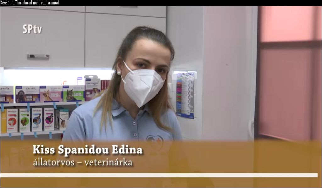 Hasznos Információk Kutya És Macska Gazdiknak